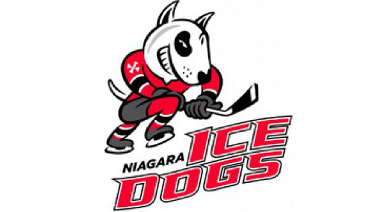 Niagara IceDogs clean house after OHL review